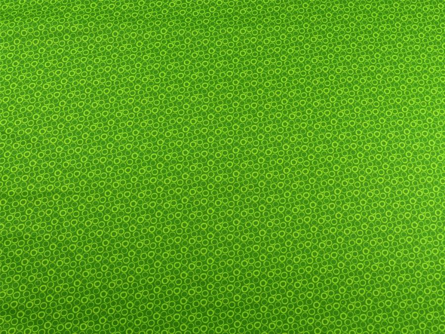 Frogtastic Patchworkstoff von Benartex Ton in Ton grün